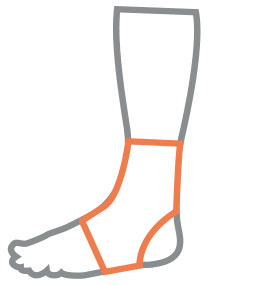 ankle-foot orthosis