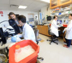 Researchers discover cause of neuron excitability in ALS, leading to new potential treatment